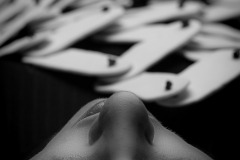 WM__D855324-Edit