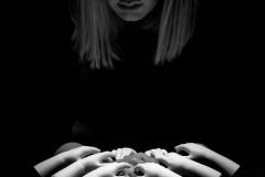 WM__D855350-Edit