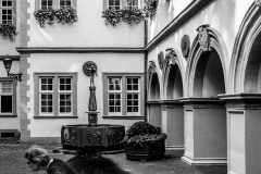 WM_DSC03139