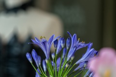 WM__D855824-HDR