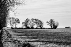 WM_D815997