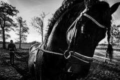 WM_D816054