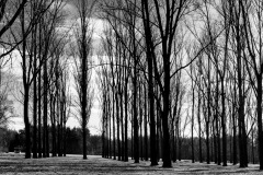 WM_D816063