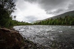 WM_D85_6054