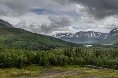 WM_D85_6083