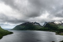 WM_D85_6199
