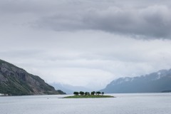 WM_D85_6281