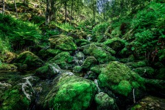 WM_D85_6555
