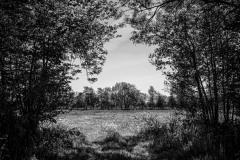 WM_DSC08572-Edit