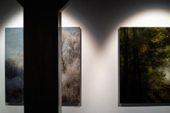 WM_DSC08848