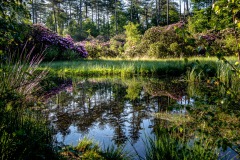 WM__DSC5581-HDR
