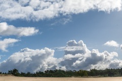 1_WM__Z7I3638-Pano