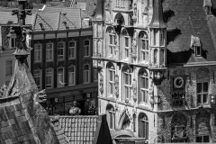 WM__D850606-Edit