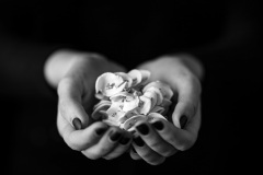 WM__D853026-Edit