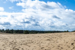 WM__Z7I3636-Pano