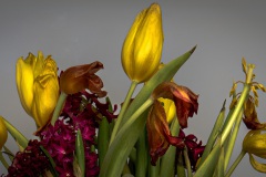 WM__Z7I6505-Edit
